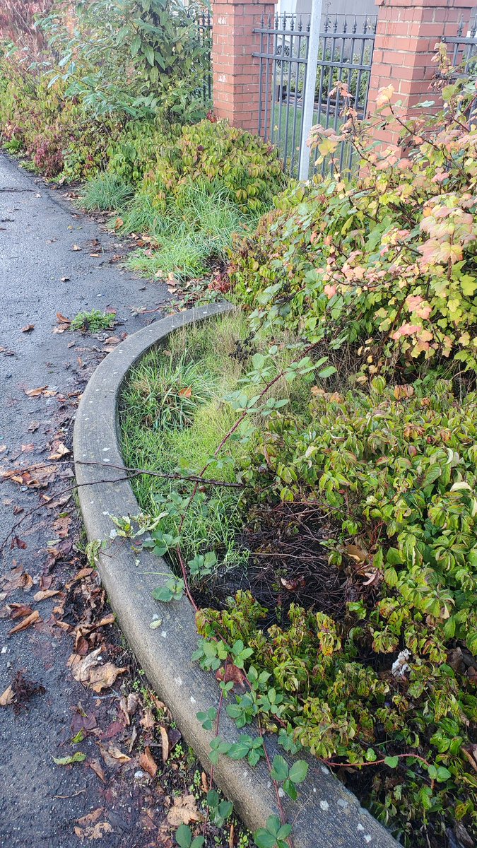 fn_DFuller's tweet photo. 45th ave and Trenton before  and after cleanup transformation https://t.co/8s9t2XGQWv