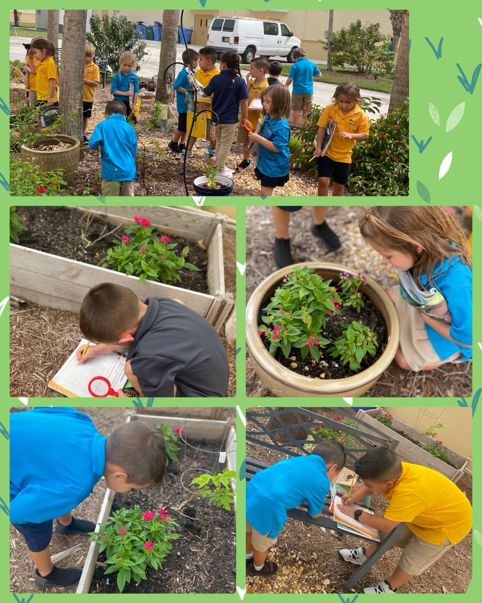 Oasis Elementary South tweet media
