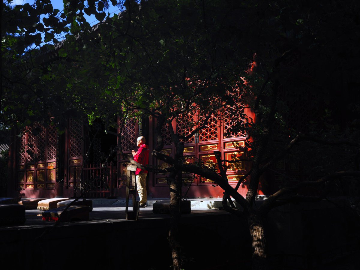 前日去法源寺，见一女子背着宠物包，将猫丢在寺院便匆匆离去，走时还留了一袋猫粮。比起旧社会那些丢孩子的，算是文明进步了，不知宠物包里可有猫咪的生辰八字？

#法源寺