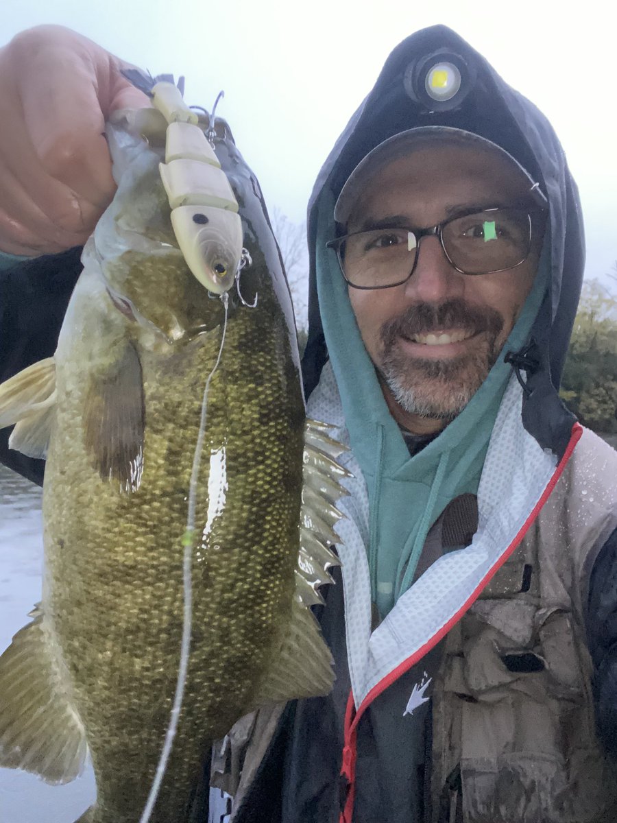 GrahamSlamFishn's tweet photo. 55 degrees, rainy evening but I managed 15 Smallmouth and a bonus Largemouth on the Fox River. 1/16oz jighead with a swimbait and the good ol’ Baby BullShad got the bigger fish.
#bassfishing #smallmouthbass #riverwading #smallmouth #bullshad https://t.co/XXE9zDIOsB