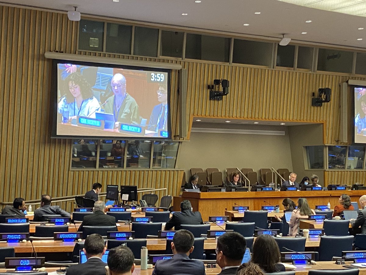 @PaceUniversity student @AntjeHipkins of @RCW_ tells UN #FirstCommittee “The patterns of harm caused by weapons and war, the diversity of people participating in disarmament processes, and the norms, discourse, and analysis of militarism” all have gendered implications 12/15