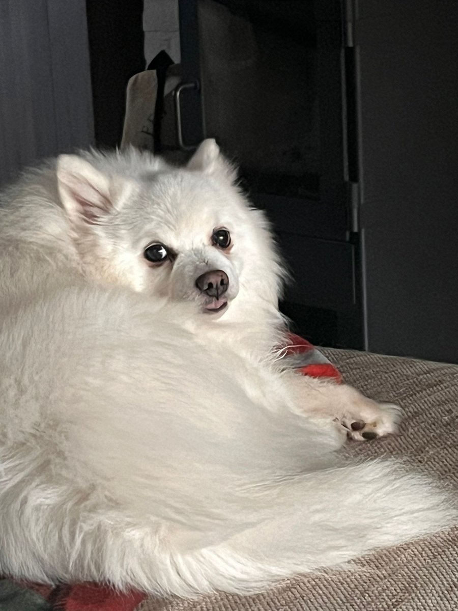 Shortrange tweet media