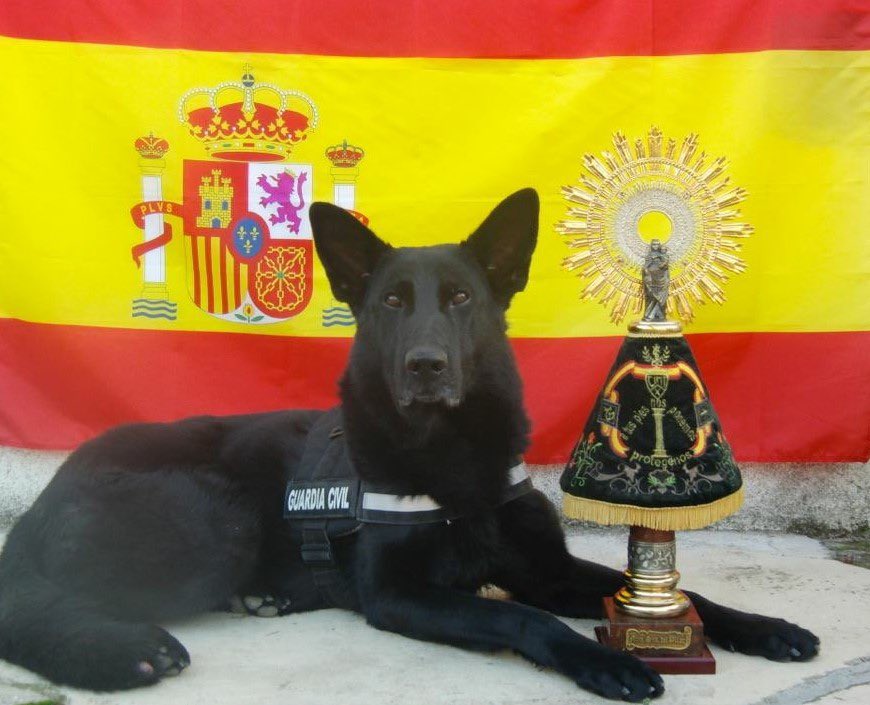 Feliz día de la Hispanidad y felicidades a <a href="/guardiacivil/">Guardia Civil</a> por el día de su patrona!
