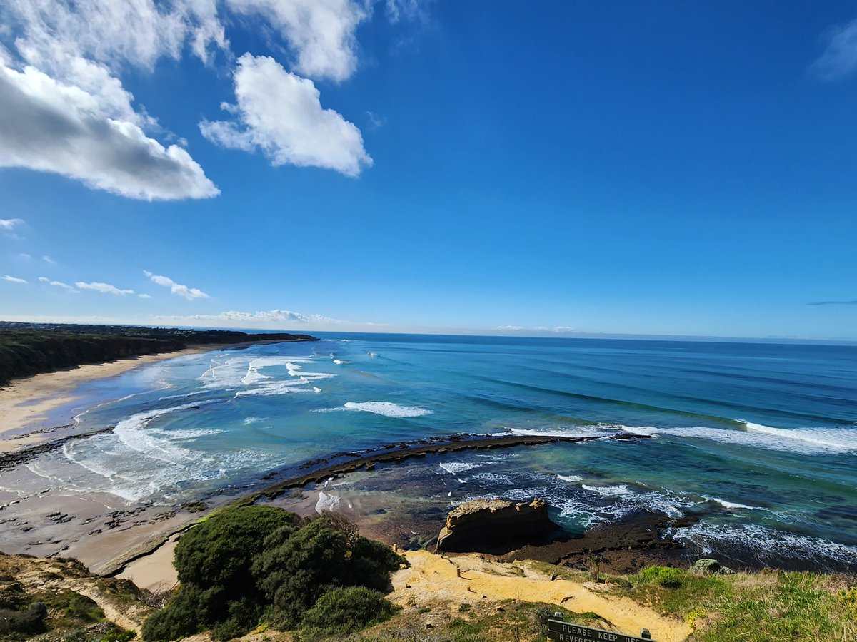 Humans in Geelong tweet media