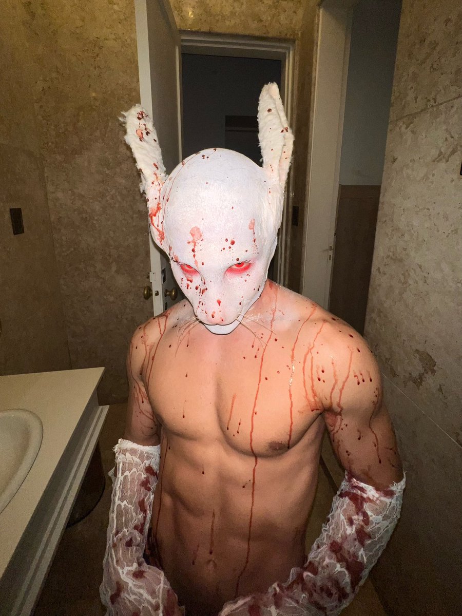 vittorfernando's tweet image. 🐰