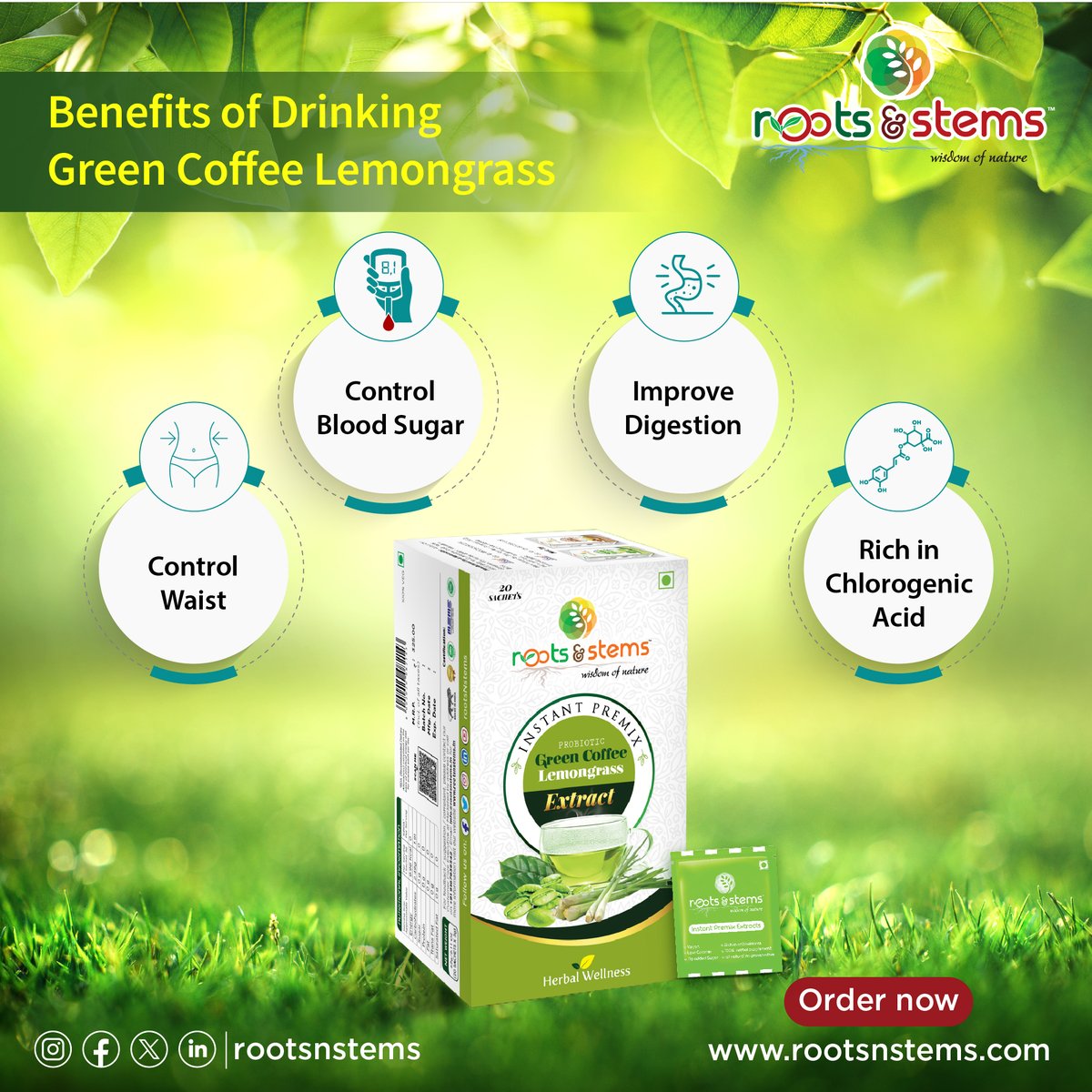 rootsNstems_'s tweet image. Green coffee with lemongrass is a unique and flavorful beverage that combines the earthy taste of green coffee beans with the zesty, citrusy notes of lemongrass.

To order online
Log on to rootsnstems.com

#greencoffee
#lemongrasstea
#InstantMix 
#rootsnstems