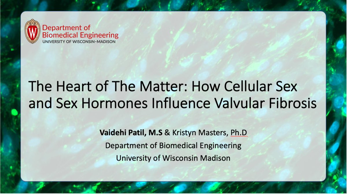 If you’re at #BMES2023 come check out my talk “The Heart of the Matter: How Cellular Sex and Sex Hormones Influence Valvular Fibrosis” tomorrow (10/12, Thursday) at 1 pm as part of the Cardiac Pathophysiology session! I’ll be in room 342 (Center, Level 3) 👩‍🔬