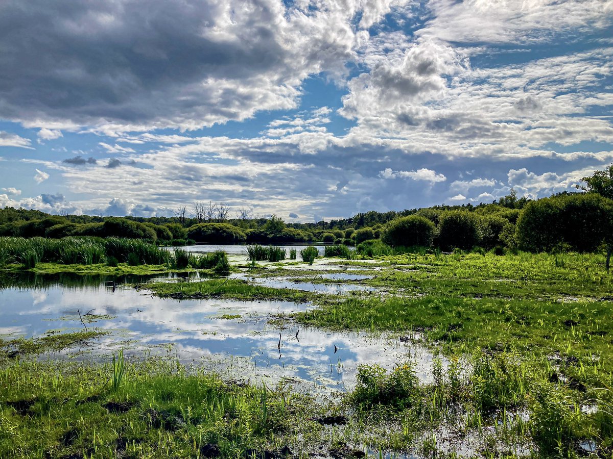 De eerste sollicitaties zijn binnen, maar solliciteren kan nog! Zoeken wij jou? #boswachter #terreinmedewerker #vacature brabantslandschap.nl/vacatures/terr…