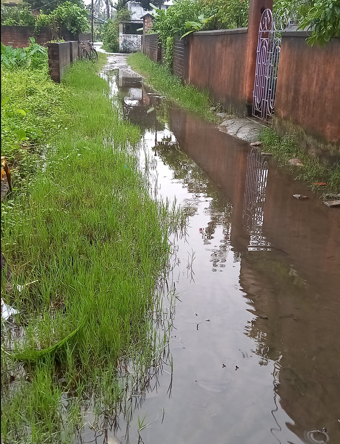 sumantasharmax's tweet photo. please help,North 24 pgs,#Bhatparamunicipality, 23 no word .No drainage and road since past 8 years.pathetic condition. Need your help urgently,we are fed up with the contacting last &amp; present counselor . 
@MamataOfficial 
@BanglarGorboMB 
@SomnathShyam2 
@abhishekaitc https://t.co/VaPN6VwzRb