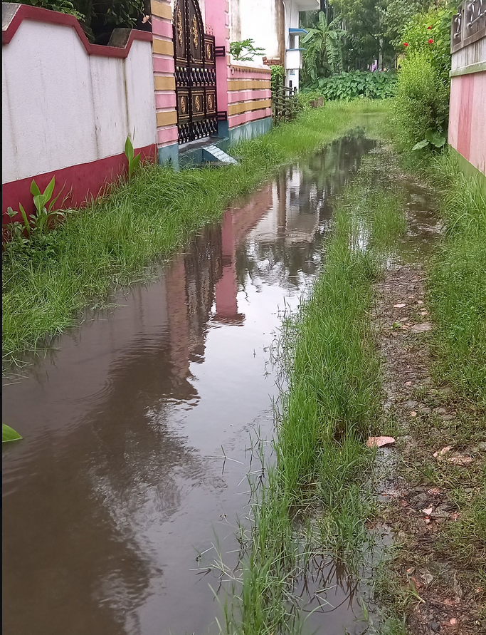 sumantasharmax's tweet photo. please help,North 24 pgs,#Bhatparamunicipality, 23 no word .No drainage and road since past 8 years.pathetic condition. Need your help urgently,we are fed up with the contacting last &amp; present counselor . 
@MamataOfficial 
@BanglarGorboMB 
@SomnathShyam2 
@abhishekaitc https://t.co/VaPN6VwzRb