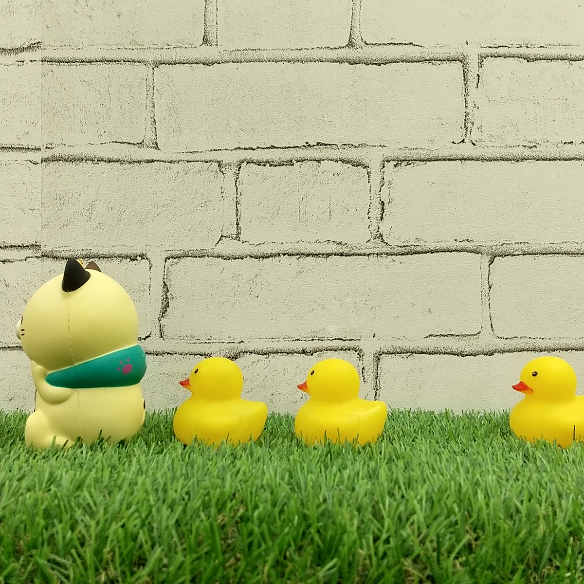 ヒヨコ隊を引き連れてゆくミケムラさん🐈🐤🐤
ねぇどこいくの❔池・・・❔
#ミケムラさんといっしょ #ぬい撮り