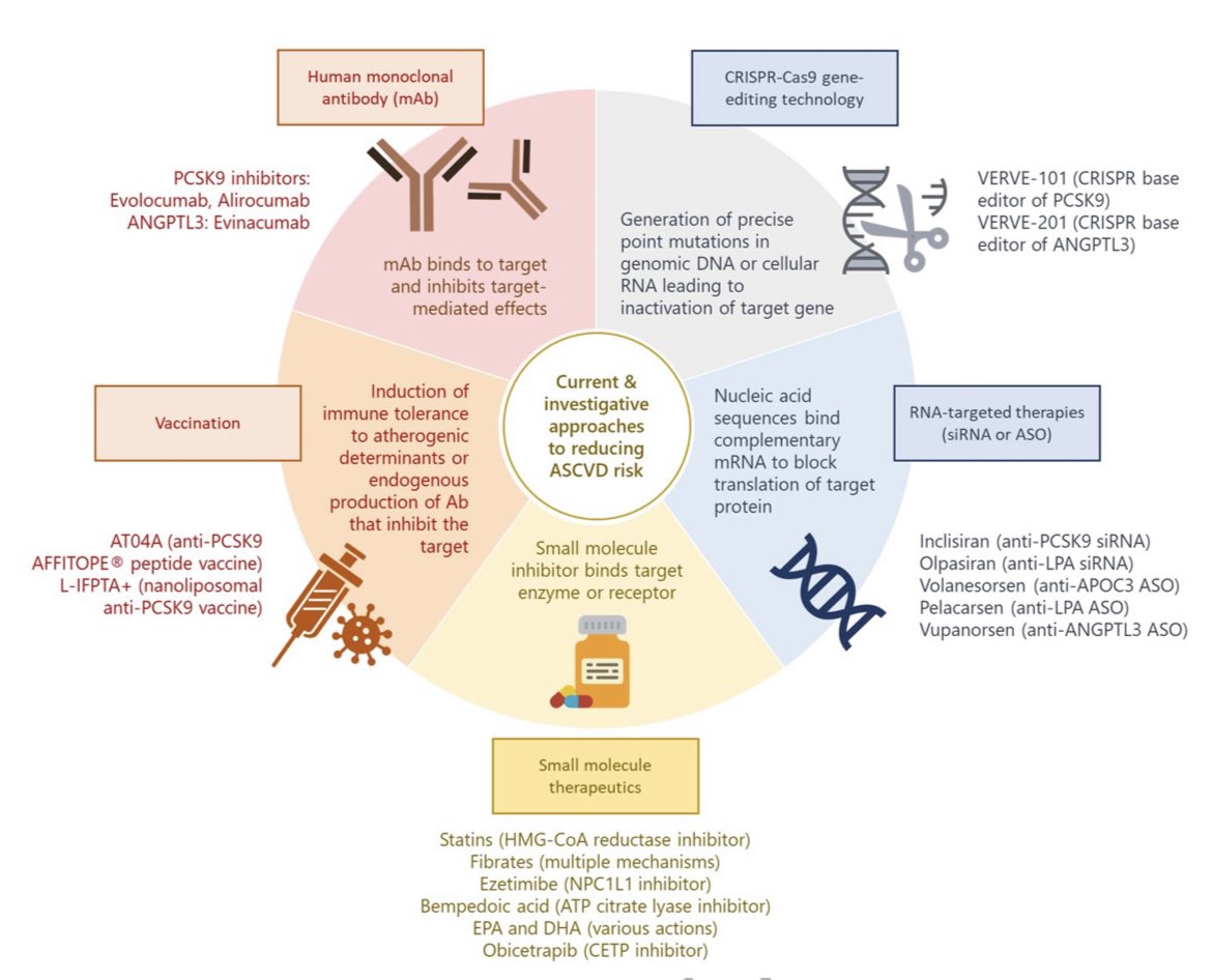 Felice Gragnano (@felicegragnano) on Twitter photo Novel therapeutic targets and emerging treatments for #atherosclerotic cardiovascular disease. Just out a new review article #EHJPharmacotherapy 💊
➡️ Online: academic.oup.com/ehjcvp/advance…
<a href="/AgewallStefan/">Stefan Agewall</a> <a href="/ESC_Journals/">European Society of Cardiology Journals</a> <a href="/escardio/">European Society of Cardiology</a> #CardioTwitter #Cardiology Novel therapeutic targets and emerging treatments for #atherosclerotic cardiovascular disease. Just out a new review article #EHJPharmacotherapy 💊
➡️ Online: academic.oup.com/ehjcvp/advance…
<a href="/AgewallStefan/">Stefan Agewall</a> <a href="/ESC_Journals/">European Society of Cardiology Journals</a> <a href="/escardio/">European Society of Cardiology</a> #CardioTwitter #Cardiology