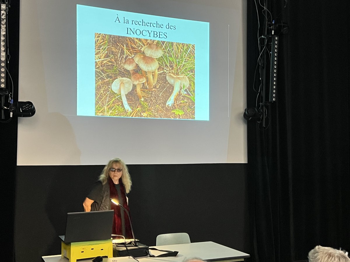 Seconde journée du congrès SMF à Haguenau. A nouveau des espèces rares comme Mycena viridimarginata ou Mycena pearsoniania. Remarquable exposé de Ditte Bandini sur le genre Inocybe !