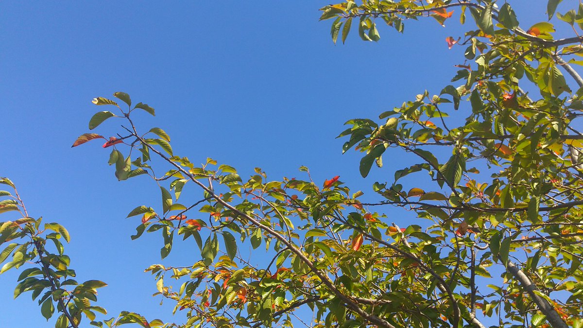 小さい秋見つけた！
爽やかな日😊