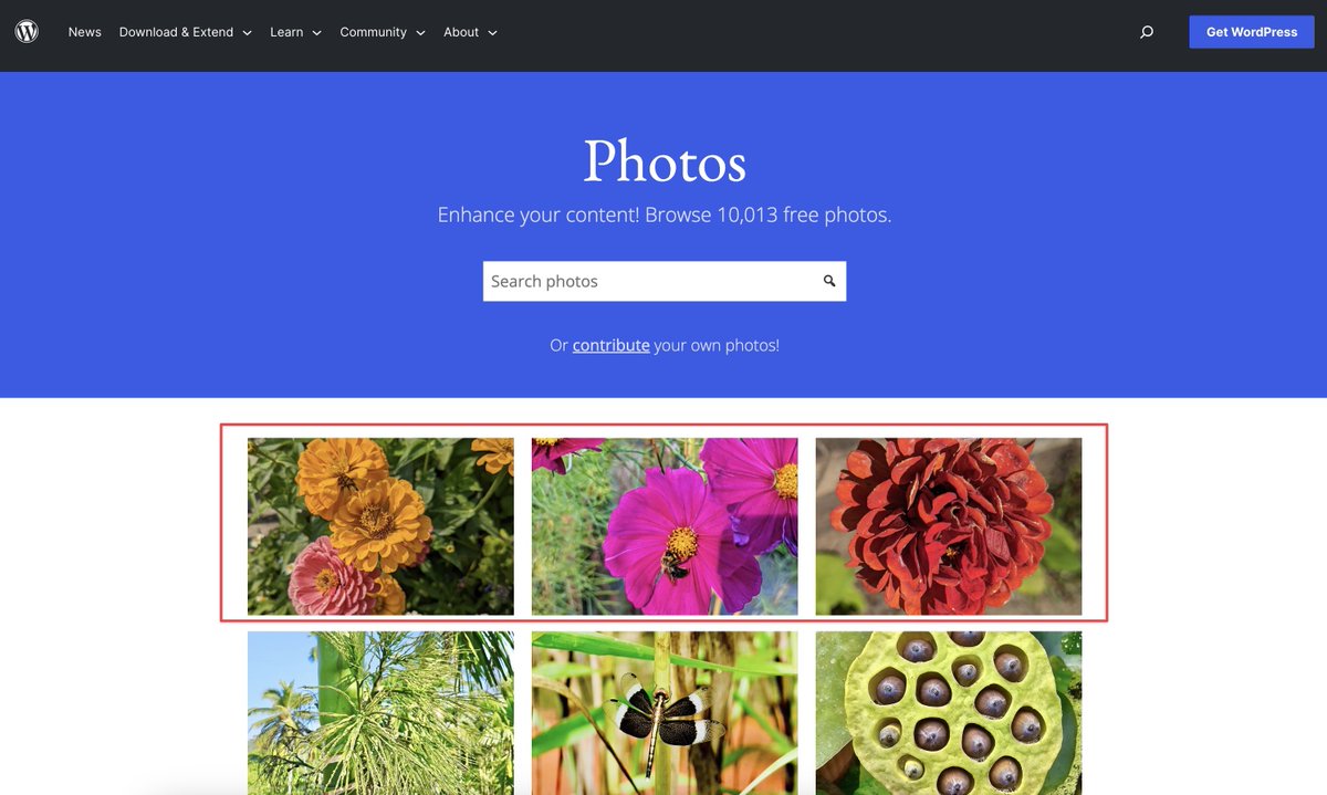 Robert DeVore tweet media