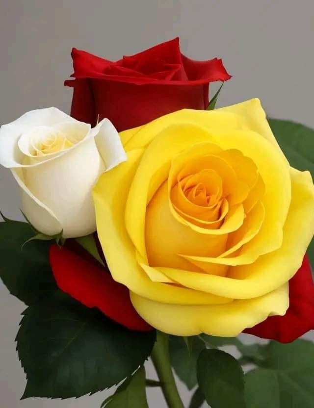 <a href="/Si_amt515/">💞الصمت 💞💞</a> "دَائِمًا نَحْتَّاجَ إِلىَ أَشَياءَ تَجَّعلَ الحَّيَاةَ
 أَجَمْلَ، شِىء يُشبِهَ الوَّرْدَ، يُشبِهَ القَهْوَةَ،
             يُشَبِهَ الحُبَ."
"كل ما نَحتاج إليهِ هو رفيقٌ واحد
  نُحارب معهُ بشاعةَ هذا العَالم" 🤍😍