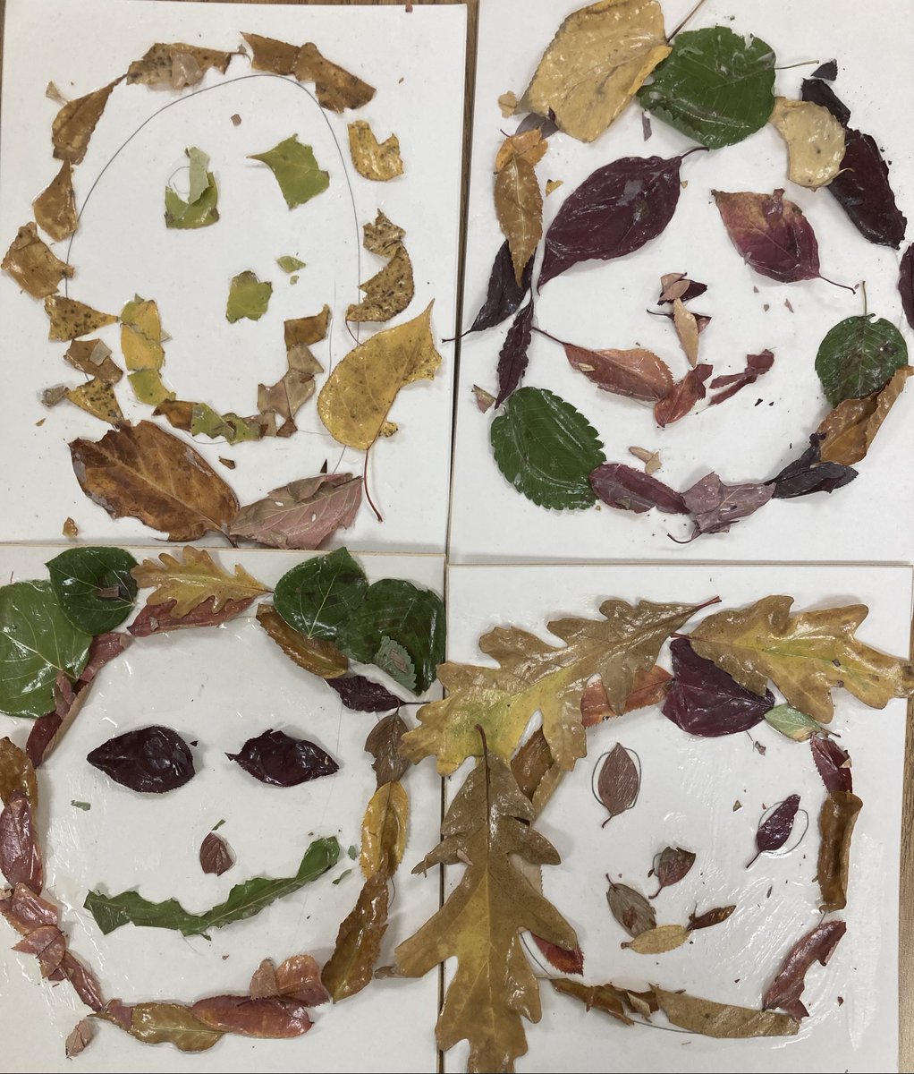 BPSHawksEES tweet media