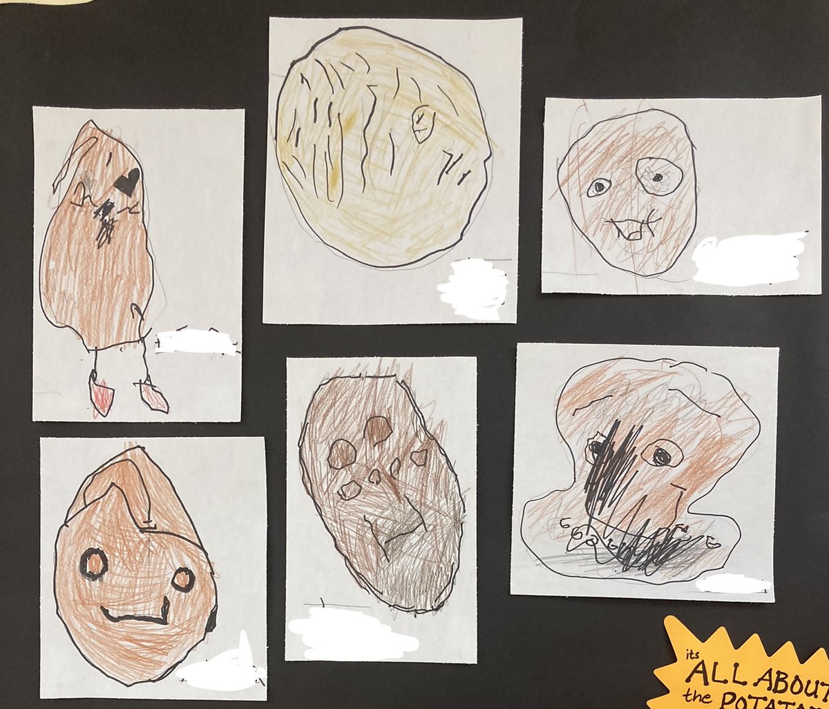 BPSHawksEES tweet media