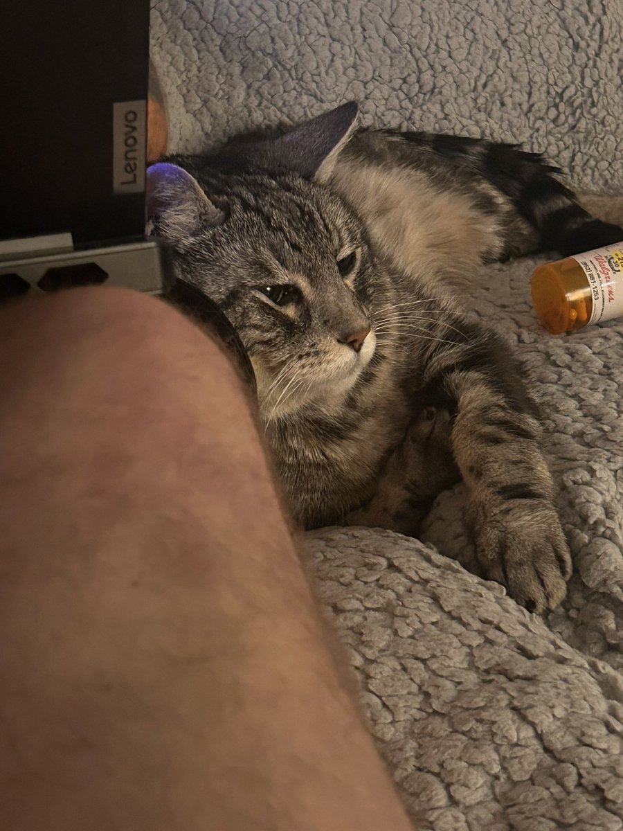 Mine bruddr George E Bear