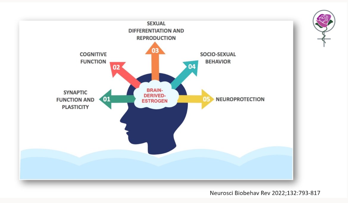 Dr Louise Newson tweet media
