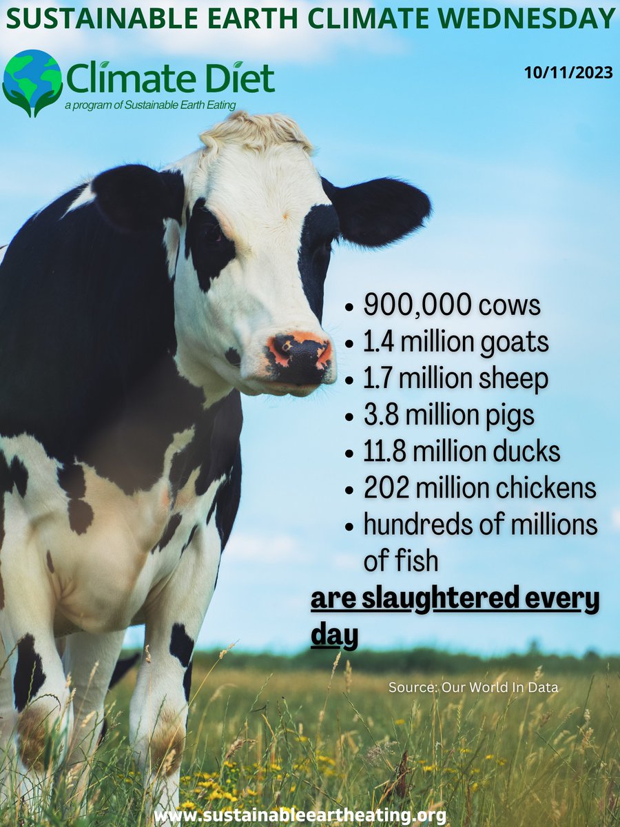This week's climate wednesday: how many animals are slaughtered per day?

#saveanimals #earth #climatechange #change #bebetter #plantbased #sustainable #animalfreedom #helptheanimals #saveearth #slaughter