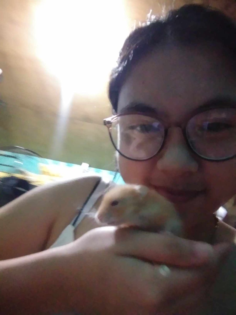 ReiArex's tweet photo. Our furbaby https://t.co/Rh0IquvY1j