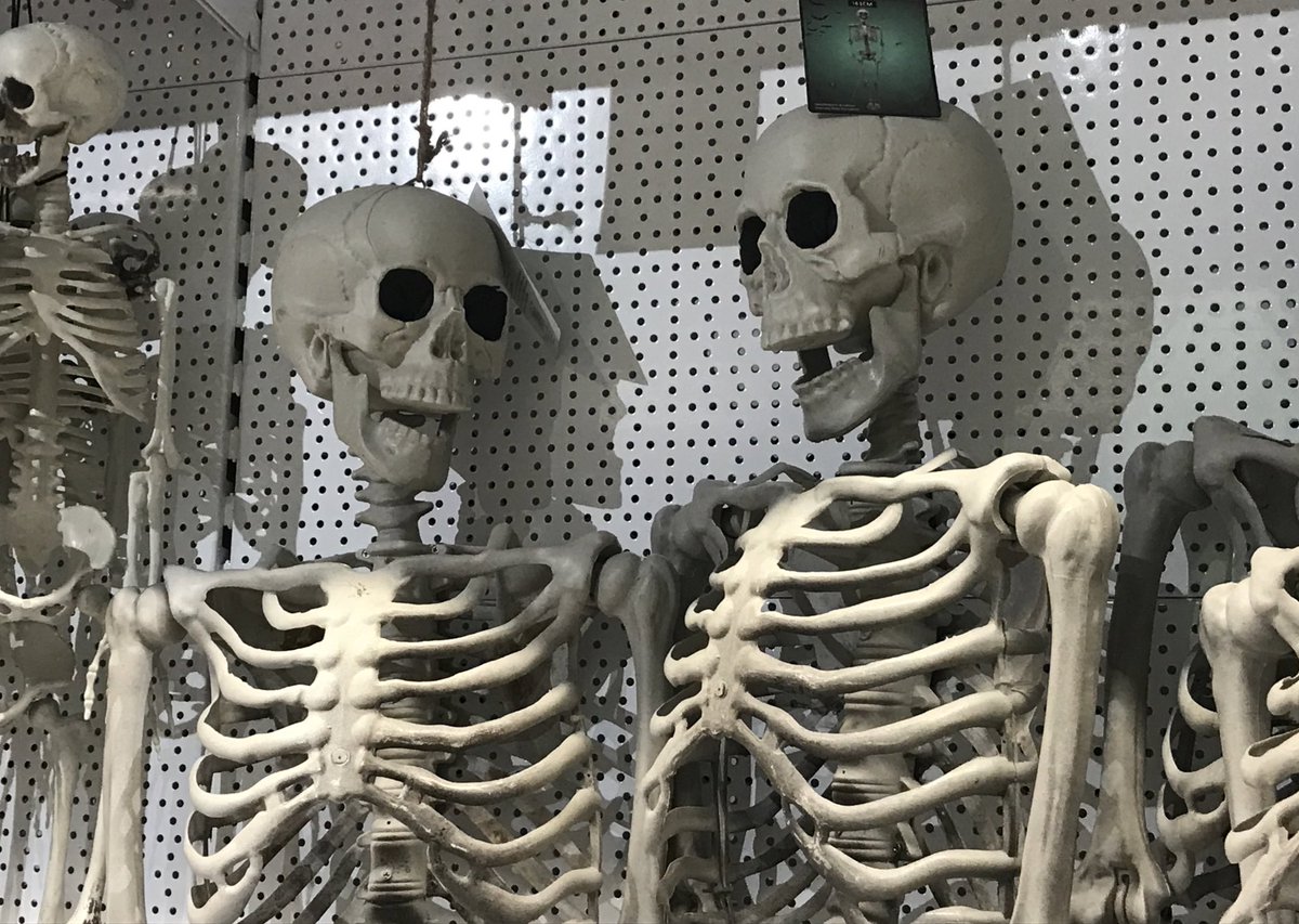 SamTheGoblin's tweet image. when you and your friend share a spooky braincell