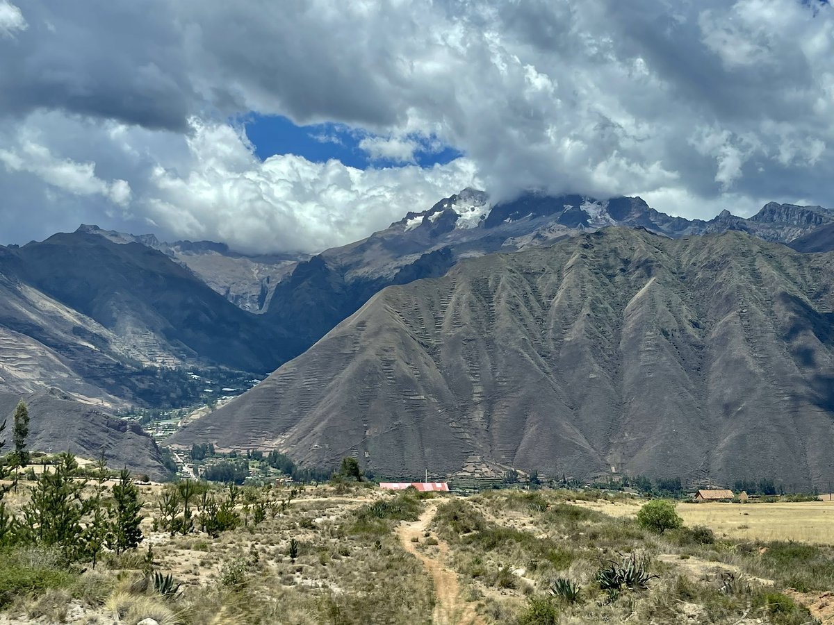 Mila D'Antonio tweet media