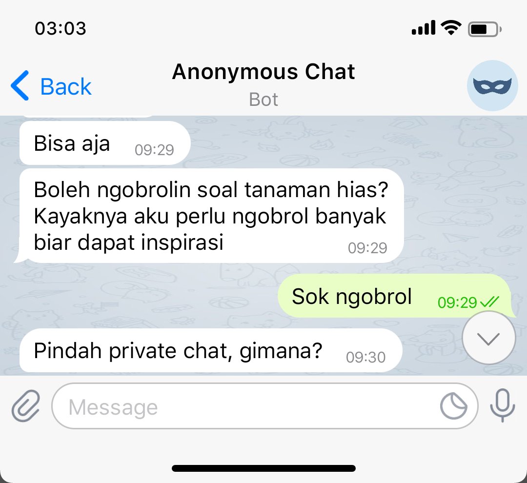 Pingumerah tweet media