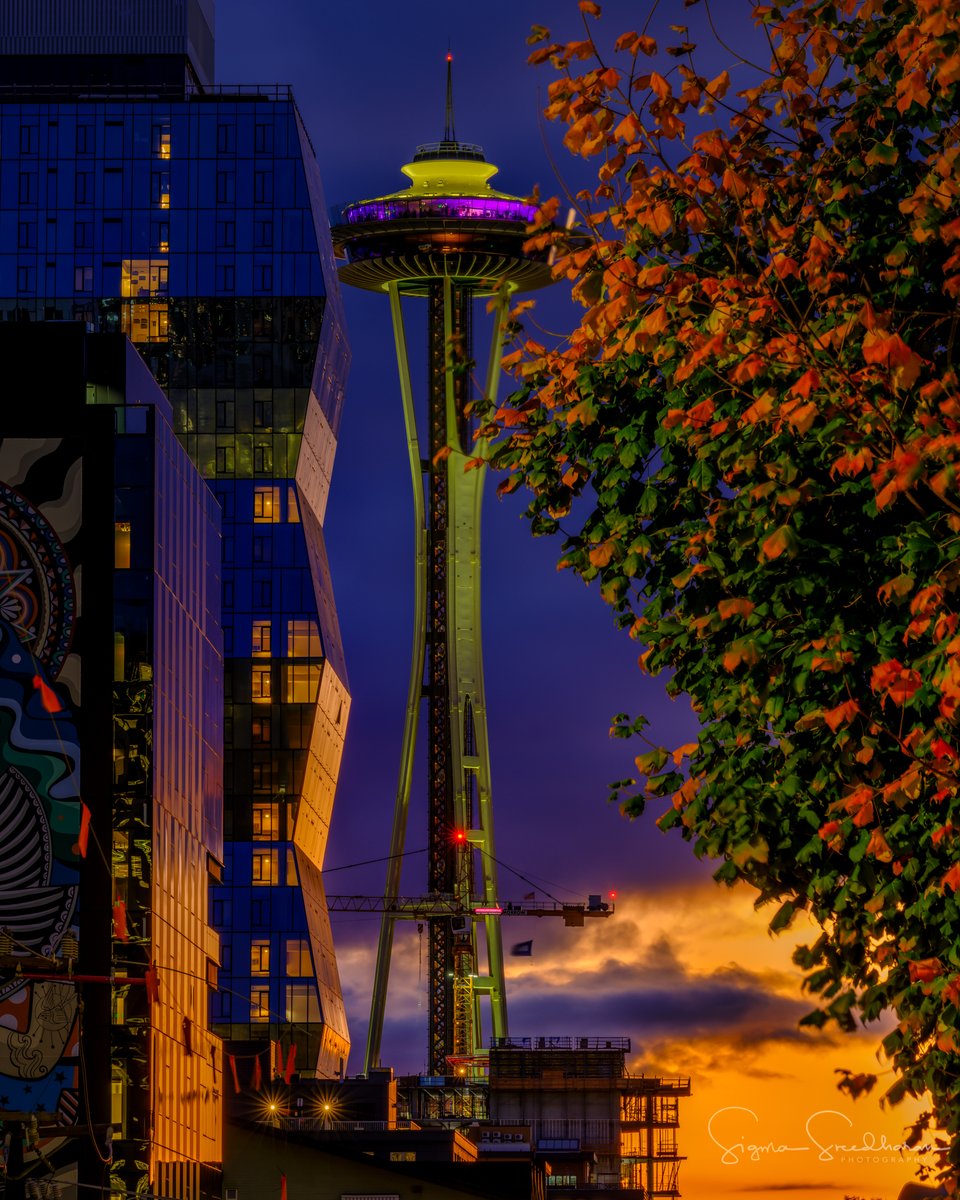 sigmas's tweet photo. Autumn in #Seattle... Tonight's #Sunset hues blending into blue hour... I loved that #SpaceNeedle had purple lights tonight, one more hue to add to this colorful scene. https://t.co/zj6pHC2M8N