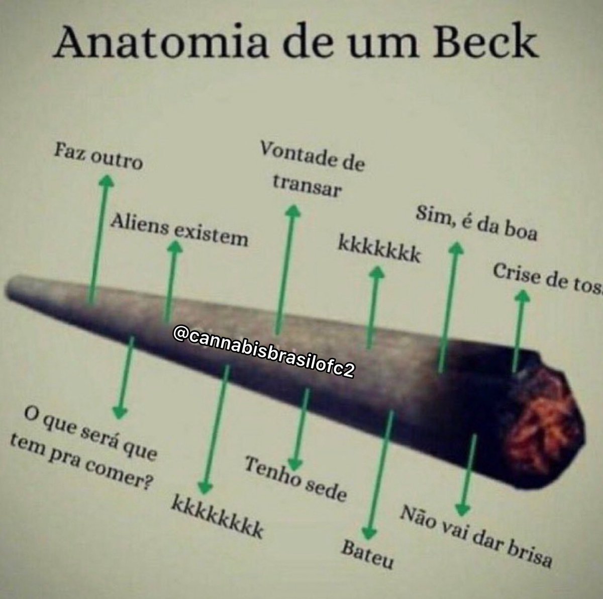 canabisbrasil's tweet photo. Vcs tbm se identificam ?? 🤔🔥 https://t.co/xq9XvvLecH