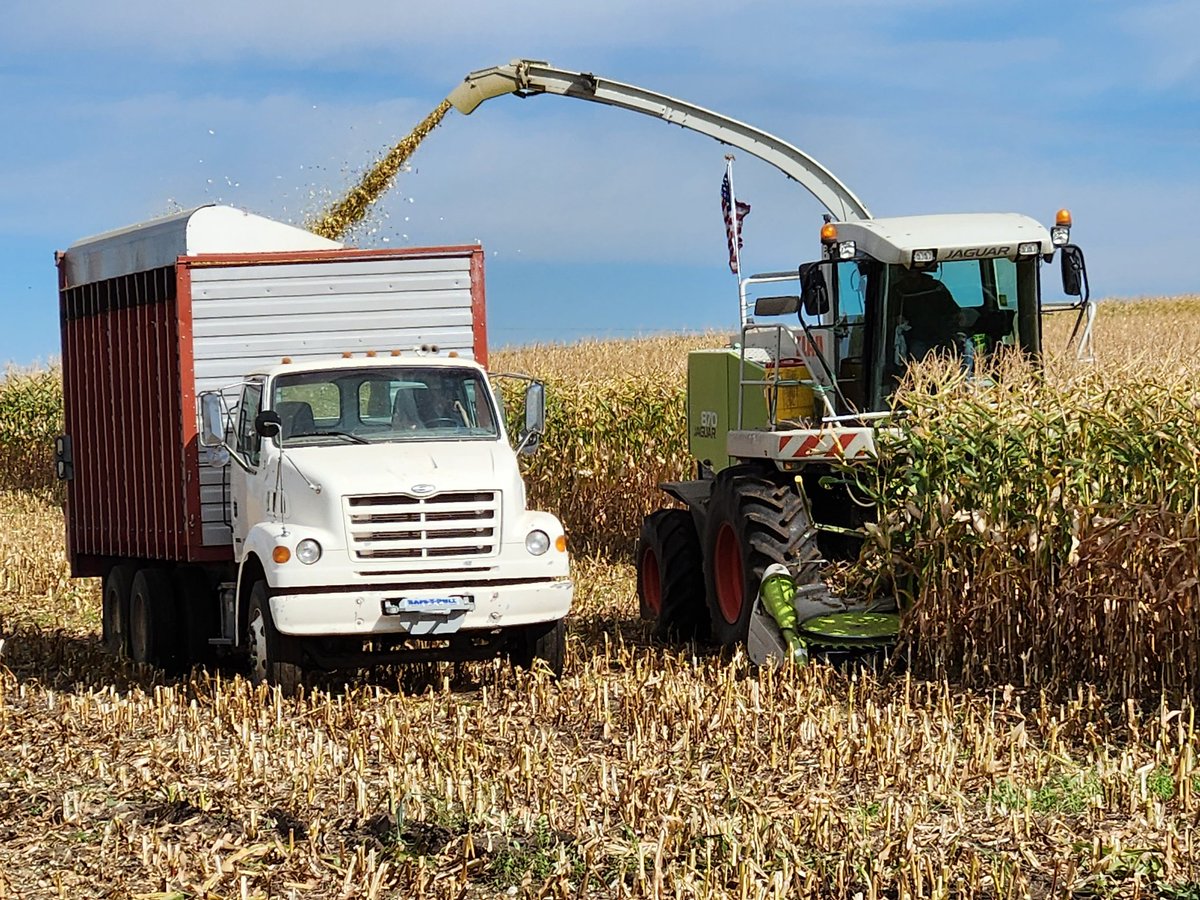 zakmlmiller's tweet photo. Amazing horsepower all at the same time to bring in the fall harvest. It takes great family, great help, and an awesome community to be patient with teenagers in spud trucks and cows on the road.  #Idaho #AgTwitter #agproud #stillfarming https://t.co/69qoNgPSJw