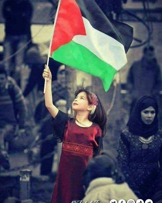 Si estás a favor de la paz en Palestina, entonces reacciona a este tuit, diciendo: #FreePalestine.