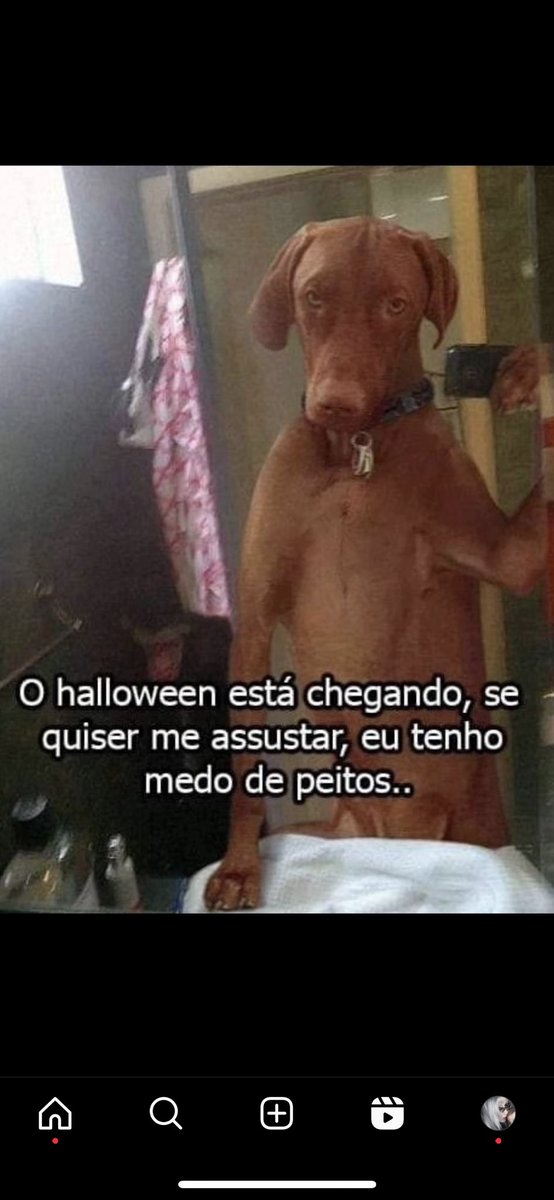 pinkymooncaky's tweet photo. manda as foto do peito https://t.co/sGGaoWxvge