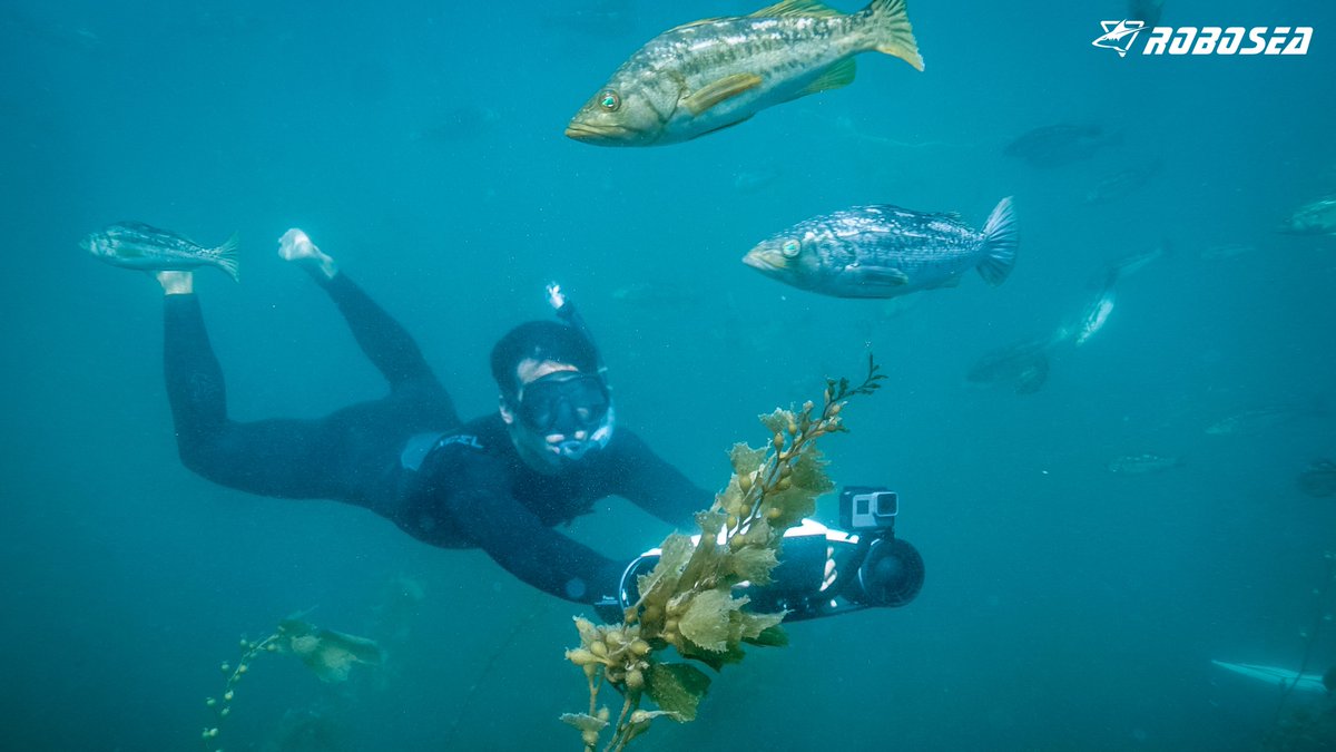 ROBO_SEA's tweet photo. Have fun underwater with our seaflyer！ https://t.co/NUA7L10P3X