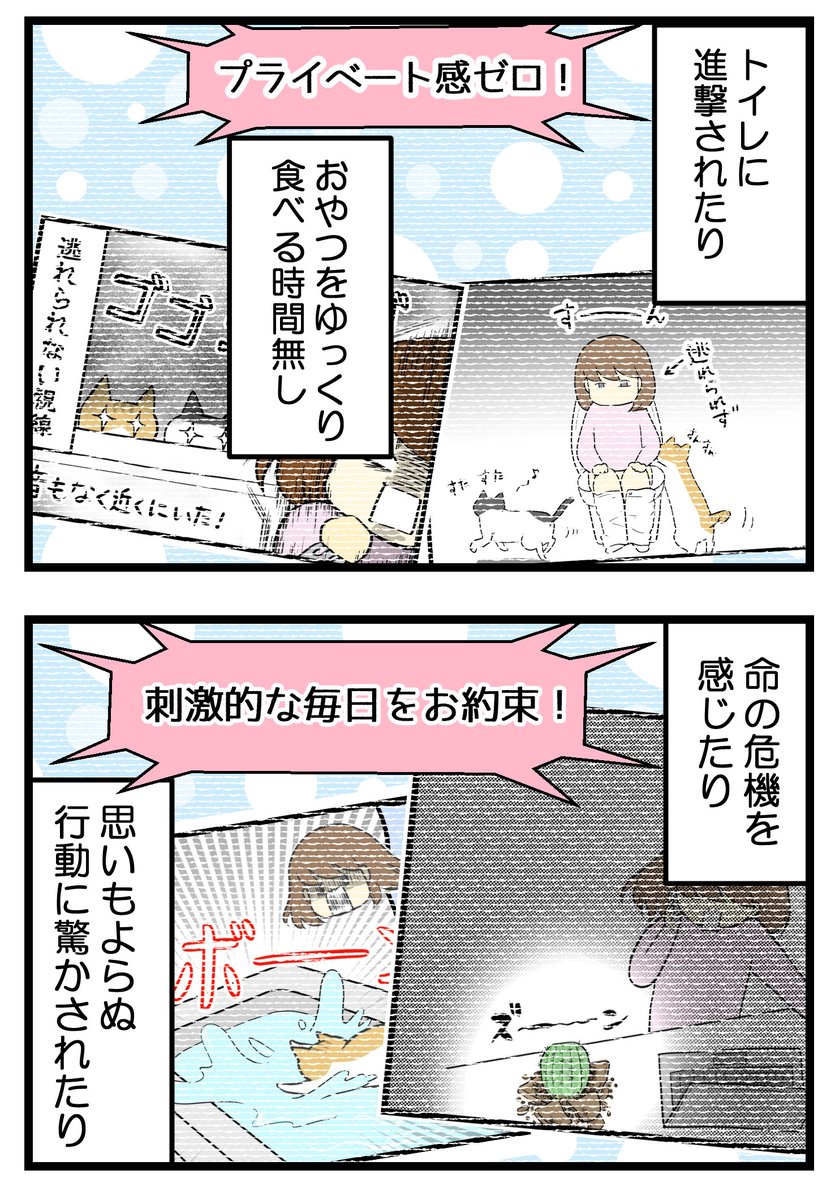 (2/4)