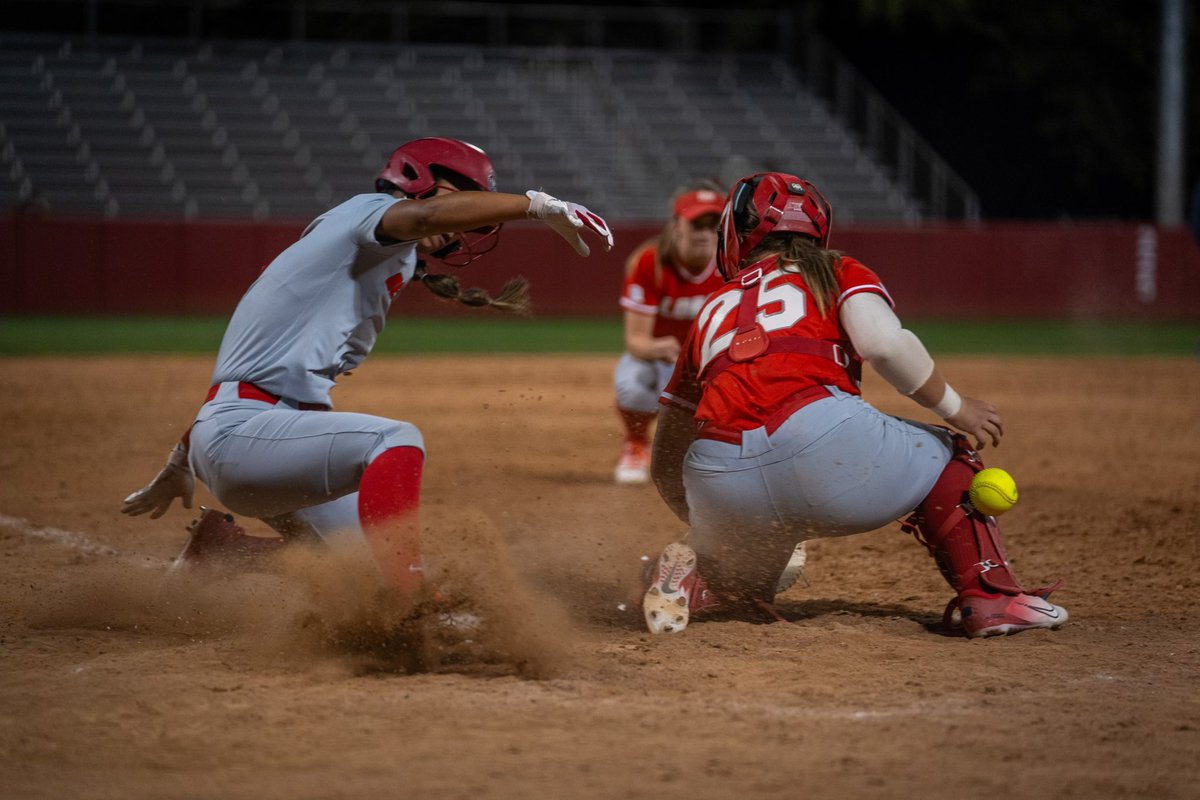 UNM Softball tweet media