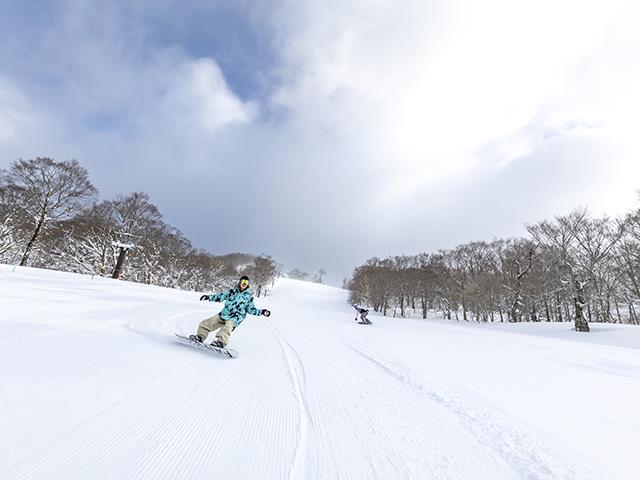 japan_orion's tweet photo. #全国旅行支援 対象🎉
ファミリー・子供・初心者にやさしい☺️
#たんばらスキーパーク へ初すべりに行こう☃️
今話題の #バートン #ステップオン が
レンタルでご利用いただけます🏂‼️
たんばらスキーパークのツアー&
ステップオンの詳細はこちら🙌
https://t.co/xFuPKSCXYr
#スキー
#スノボ https://t.co/CkHSfjTaDU