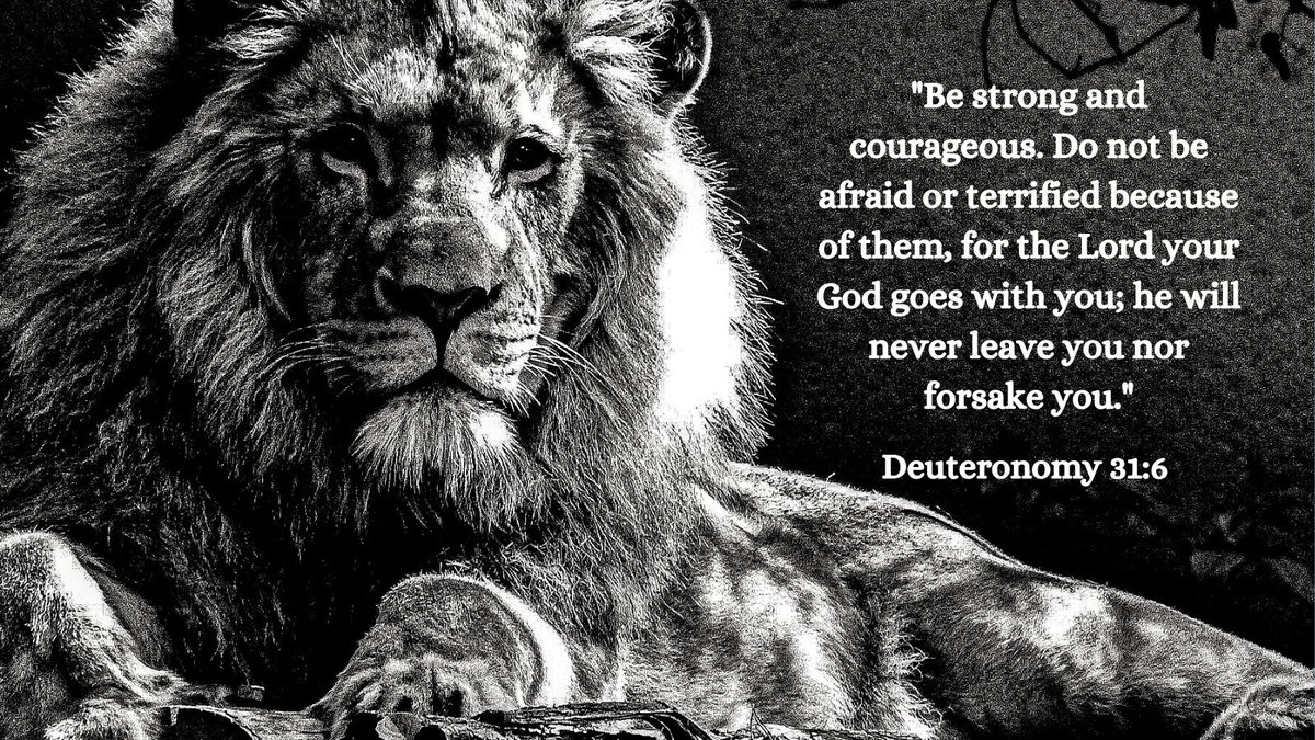 Lakeaa01's tweet photo. Bible Verse For Strength and Courage | God is always with you, providing strength and courage. You are never alone. #BibleVerse #BibleQuote https://t.co/MUdaFrJTKC