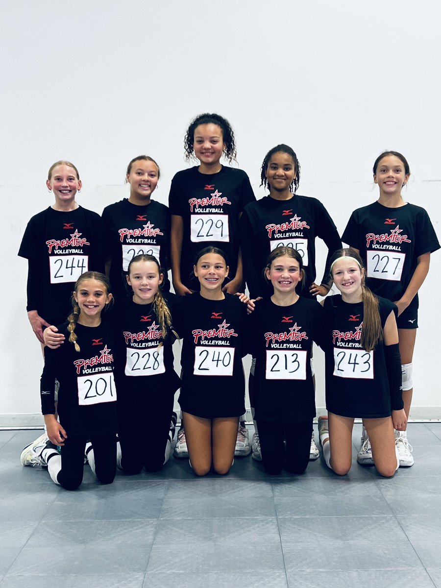 Premier 12 Gold tweet media