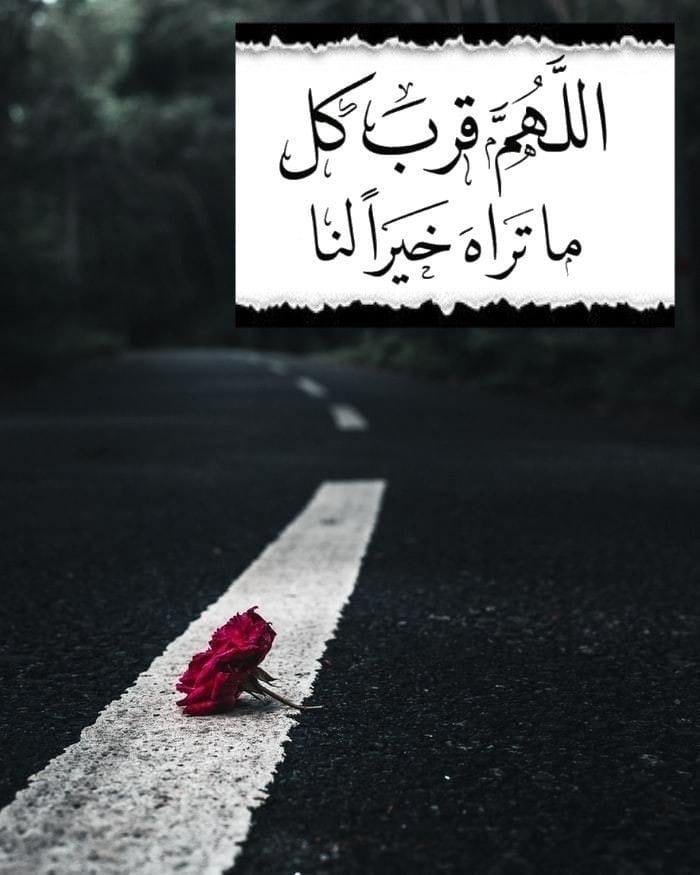 💕بدور الدوسري💕 tweet media