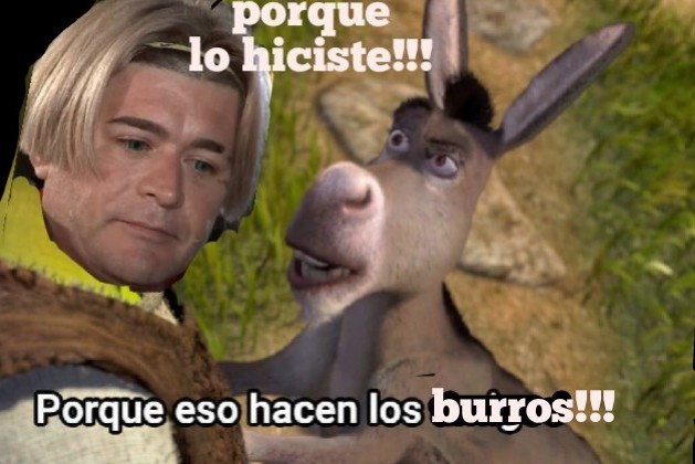 kratos_chelo's tweet photo. #reactpepsi #TierraBrava asi sera la proxima nominacion de junior playboy en el cara a cara con el burro @tierrabrava13cl @canal13 😹 https://t.co/bv2xlfII9R