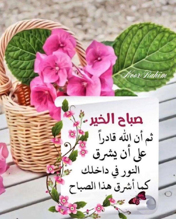 ثلاث أفكار رائعة أرجو أن يعيش بها من أُحب
وأنتم منهم 🦋💜🌷
• التوكل : أفوّض أمري لمن بيده مفاتح الغيب 💜
• الرضا : مايكتبه الله لي فهو الخير 💜
• التفاؤل : القادم أجمل بحول الله 💜