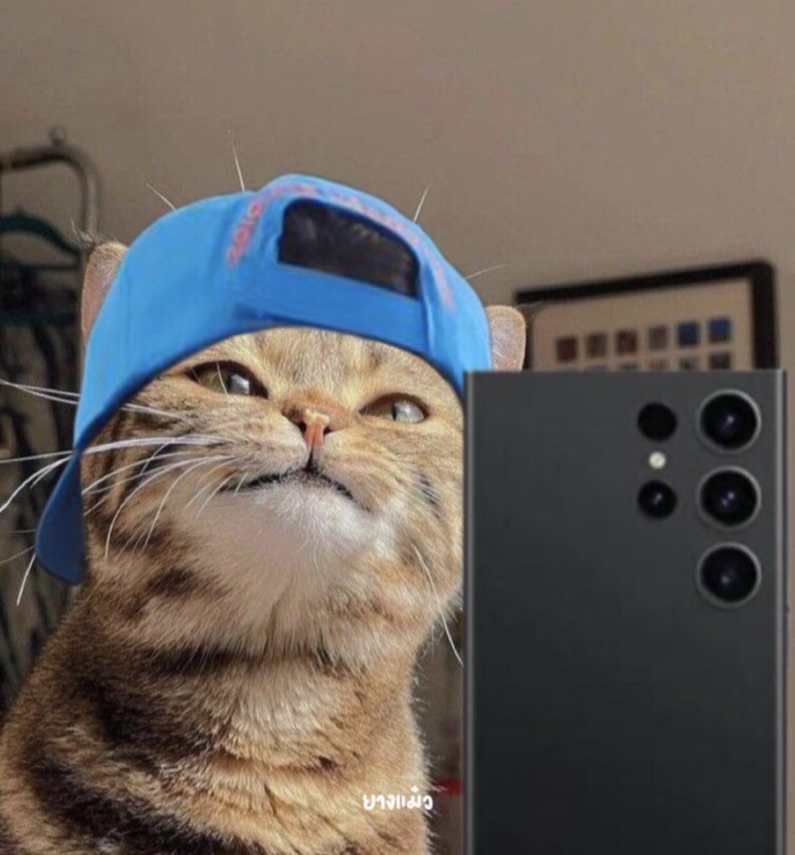 nattapipo's tweet image. copy                                      paste