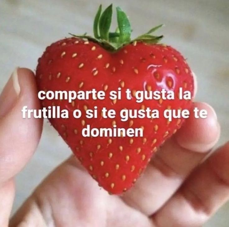 lesbicas (@cclesbicas) on Twitter photo 