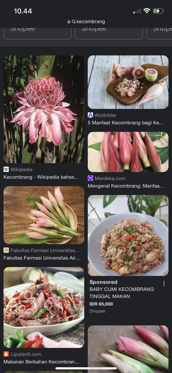 melianisitismtn's tweet photo. @NoContextHumans All food mixed with kecombrang https://t.co/1CfOoWms6h
