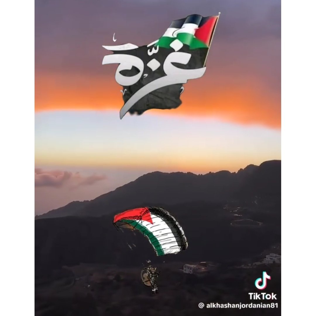 Mohamed Gamal Tarrash tweet media