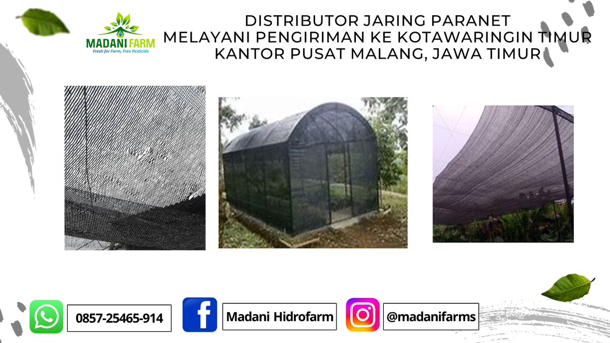 JaringParanet's tweet image. Distributor!!! HP/WA 0857-25465-914 JARING PARANET Kotawaringin Timur