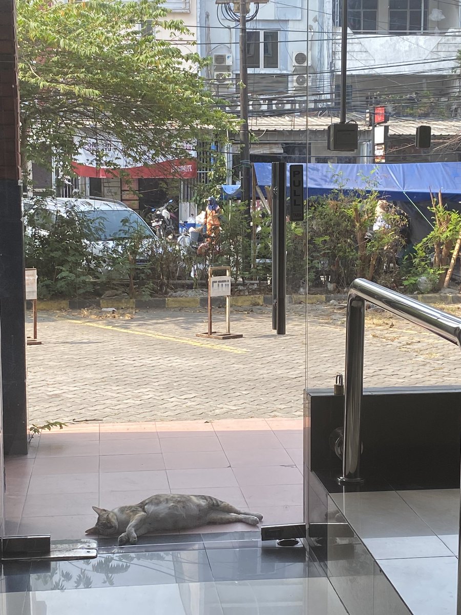 security bukannya kerja malah tidur mulu