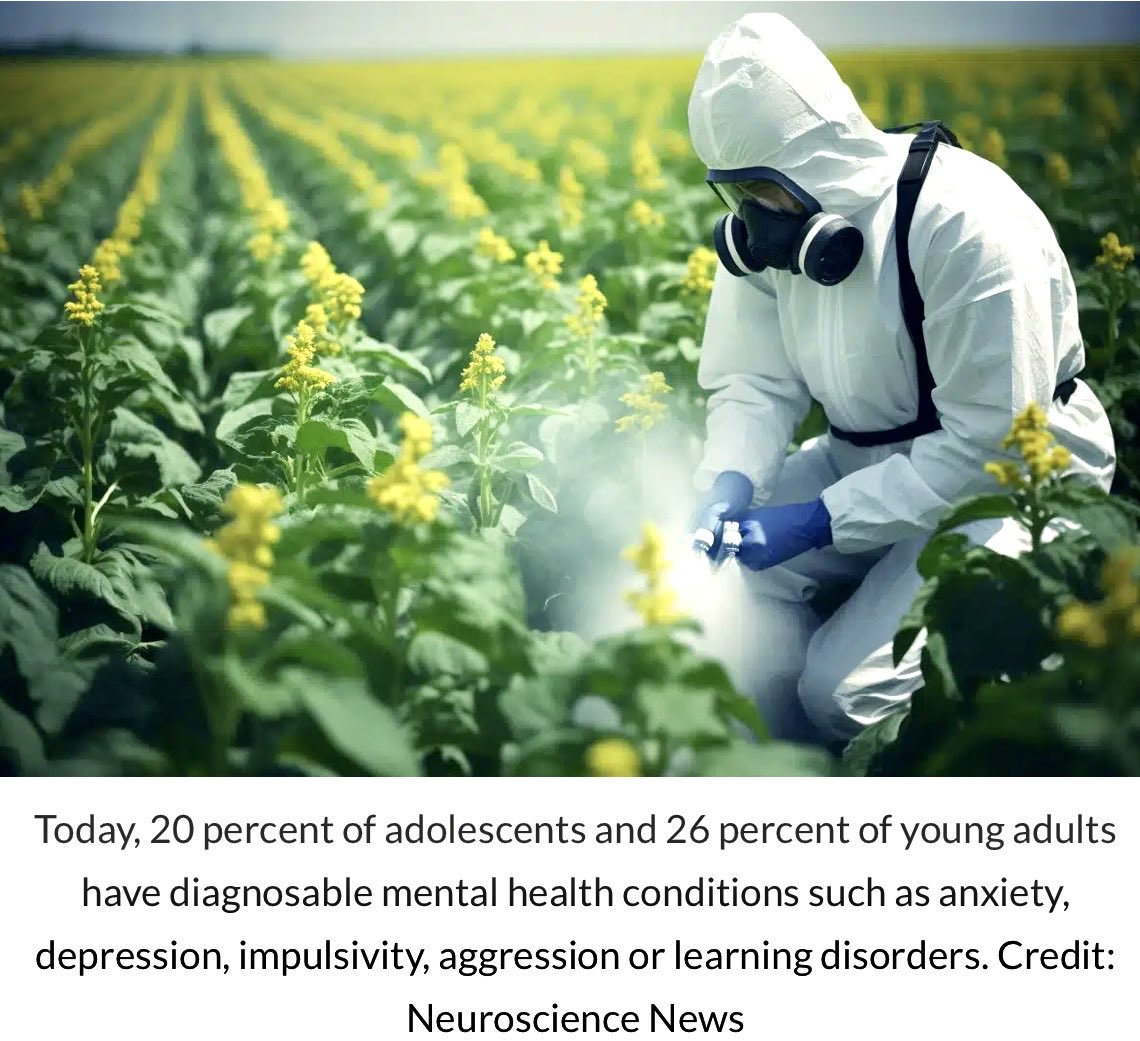 Teen #Brains at Risk: Common #Herbicides Linked to #Cognitive Dip Source: @UCSDNeuro #Neurosciemce #Brain #Glyphosate #DEET #Brainhealth #SDGs 👉neurosciencenews.com/herbicide-teen… @IanLJones98 @BetaMoroney @SpirosMargaris @mvollmer1 @BetaMoroney @jblefevre60 @Khulood_Almani @psb_dc…